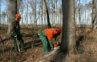 Od šumske rente lani dobili 23,2 mil. kuna