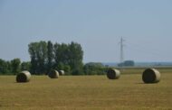 Poljoprivrednici općine Drenovci ostaju bez milijun eura godišnje