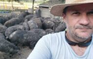 OPG Kadić ekološki uzgaja svinje sa zdravom masnoćom