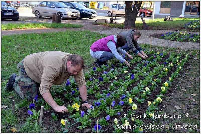 Građanska akcija Park tambure - Županja - Sadnja cvijeća i drveća