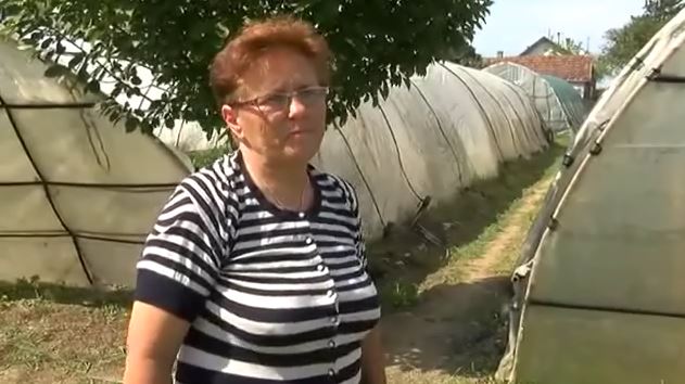 Ana i Tunja Stjepanović, uzgajivači povrća iz Županje
