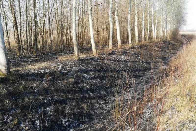 Požarom zahvaćena šuma kod Cerne