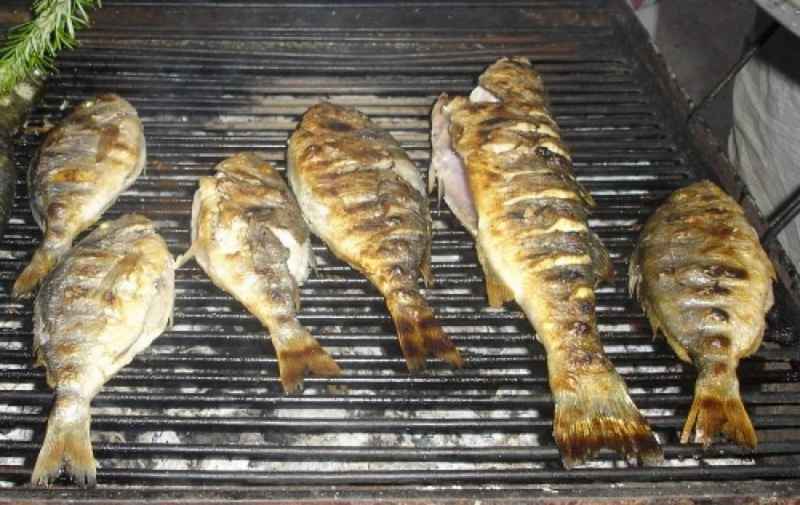 Ribolovne udruge dijelit će pečenu ribu