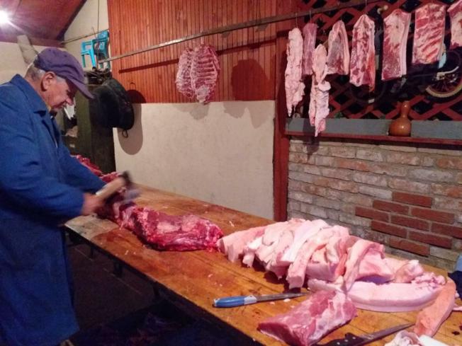 SEZONA SVINJOKOLJA, DOMAĆI UZGAJIVAČI NA MUKAMA Zbog jeftinog uvoznog mesa izostao interes za tovljenike